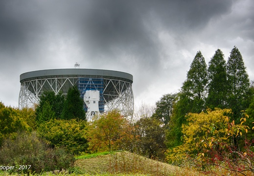 Lovell Telescope, from the surrounding gardens (week 42)